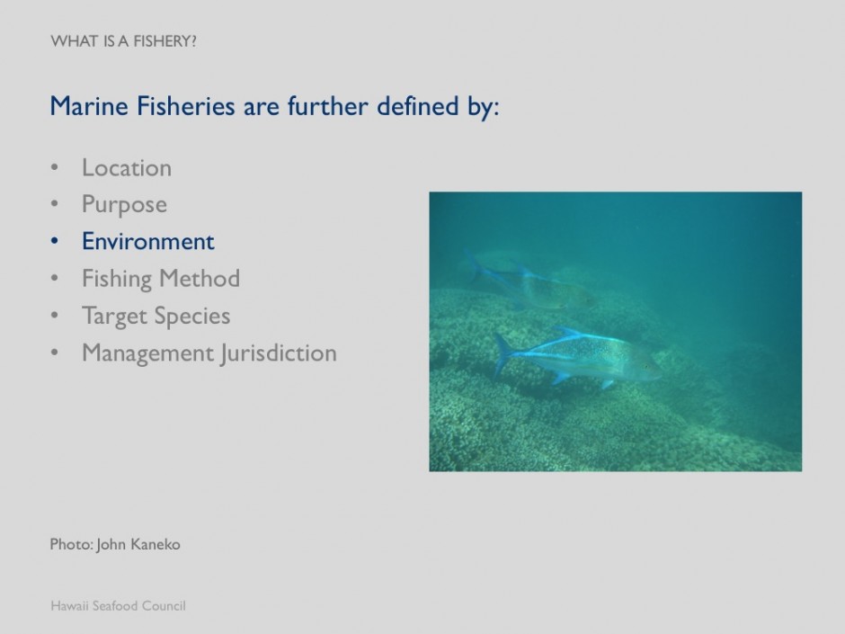 Module 1 What is a Fishery