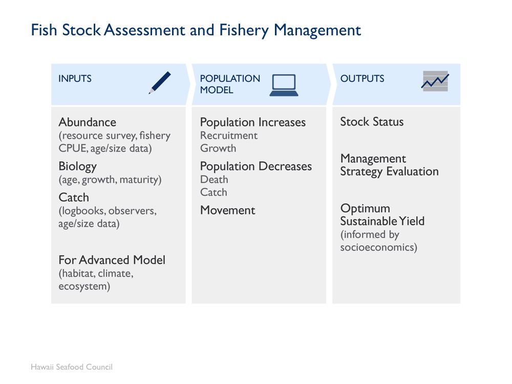Module 5 fish stock assessment hawaii seafood