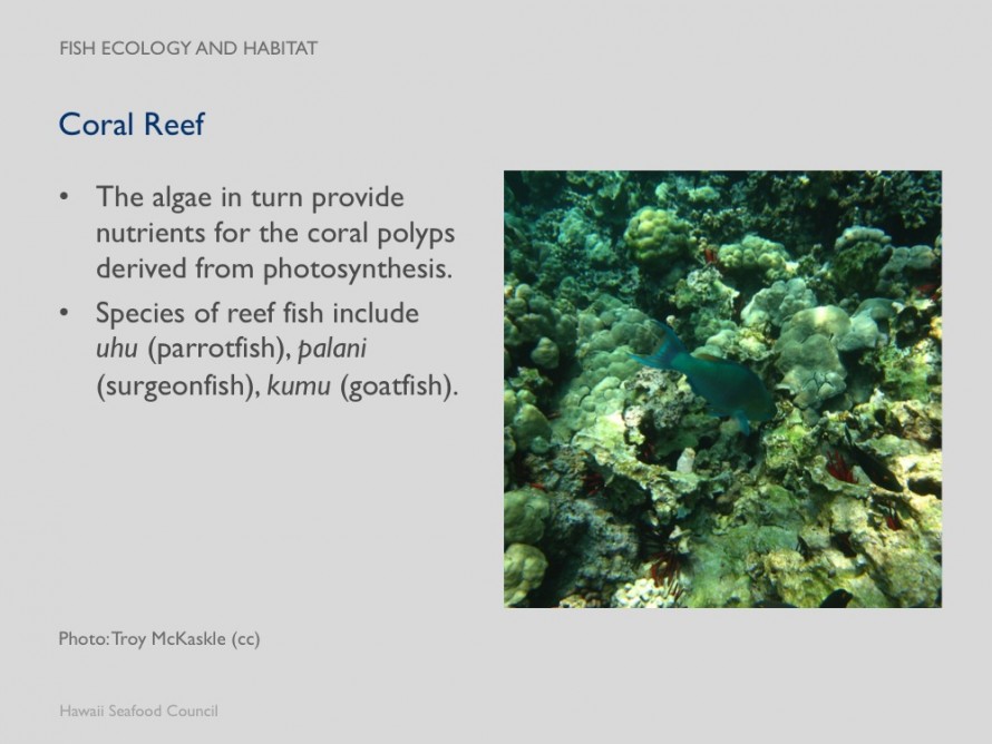 Module 2: Fish Ecology and Habitat – Hawaii-Seafood.org